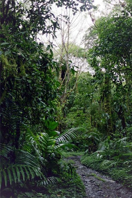 Image-D2B40016C1B111D8.jpg